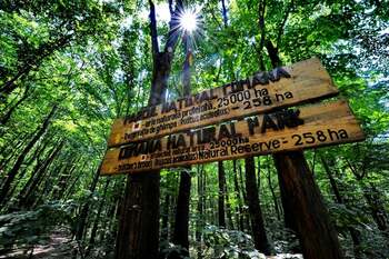 Zăvoi Trail Comana: Competiție nouă de trail running și mountain bike pentru amatori