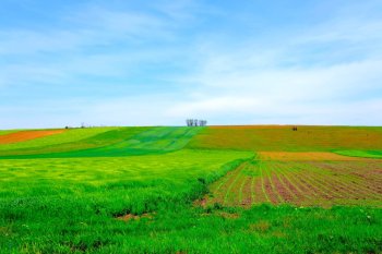 Se schimbă regulile în industria agroalimentară. Cum vrea UE să scadă dependența de pesticide și îngrășăminte