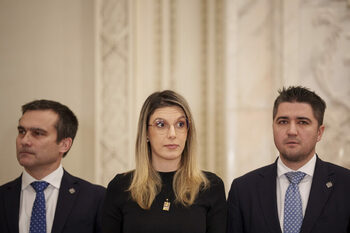 Diana Buzoianu: Chiriile pentru plajele de pe litoral erau atât de mici încât se recuperau într-o zi