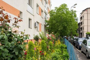 Când poţi uda copacii, plantele sau tunde iarba din jurul blocului fără a fi amendat. Detaliul din Codul Civil, (…)