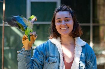 Să învățăm de la peruși: Cum își fac papagalii prieteni noi?