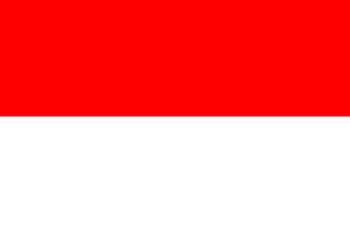 Soldaţi din 13 ţări, inclusiv din SUA, participă la manevre militare în Indonezia