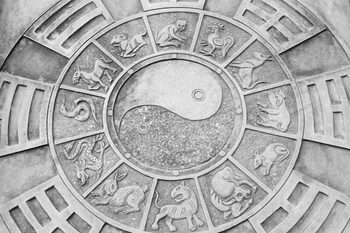 Horoscopul chinezesc 11-17 august 2025. Şarpele trebuie să înceapă să aibă încredere în ceilalţi şi să spună ce îşi (…)