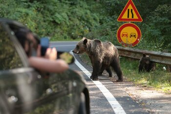 ANALIZĂ Turismul românesc, în scădere față de anul trecut / Cauze: oamenii au mai puțini bani și scăderea (…)