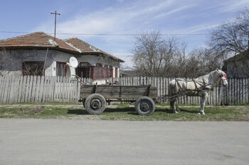 70% dintre românii de la țară ar vota cu AUR și PSD