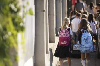 Daniel David: La clasele a doua, a patra şi a şasea aş vrea să văd o testare a unor competenţe diverse şi cel puţin (…)