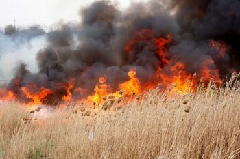 Incendiu puternic lângă Ploiești: 80 de hectare cuprinse de flăcări, fum dens vizibil de la kilometri