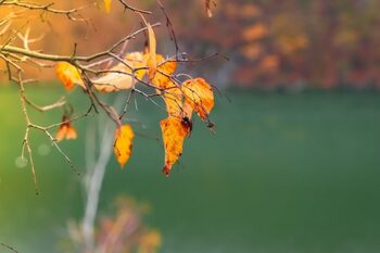 Meteorologii AccuWeather anunţă o lună septembrie cum nu a mai fost de ani de zile. Frigul pune stăpânire pe România (…)