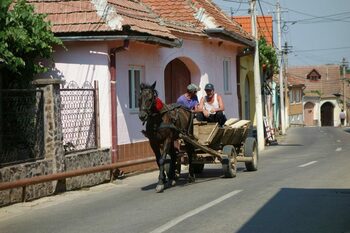 Obligaţia pe care o au românii care circulă cu căruţa prin aceste localităţi. Amenzile sunt de 1.000 de lei pentru (…)