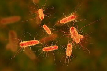 Proteina care ucide E. coli, creată cu ajutorul Inteligenței Artificiale