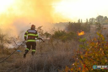 Bărbat de 63 de ani, arestat după ce a incendiat un teren la marginea Bucureştiului