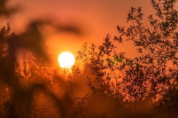 Sudul Europei se sufocă sub un val de caniculă: Temperaturi record, risc de incendii, școli închise