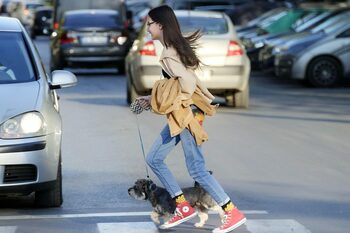 Care sunt cele mai periculoase treceri de pietoni din București