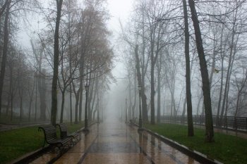 Vremea la început de iarnă: ceață densă, burniță și temperaturi peste normal. Un anticiclon puternic cuprinde România