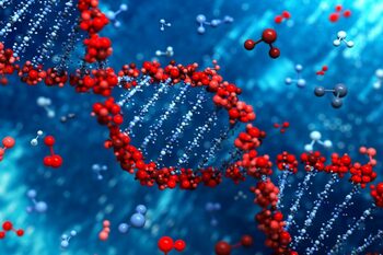 Pentru prima dată, cercetătorii au transferat un comportament de la o specie la alta prin editarea genetică