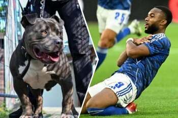 Concediat din cauza câinelui și riscă închisoarea: Un fotbalist din Bundesliga a fost dat afară de club după ce (…)