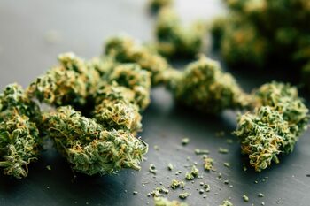 Consumul regulat de cannabis prezintă riscuri pentru persoanele peste 65 de ani, avertizează experții