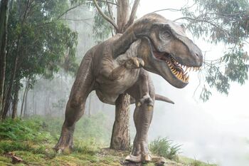 Nu asteroidul ar fi fost cauza dispariției tuturor dinozaurilor. Ce arată ultimele teste pe fosilele acestora