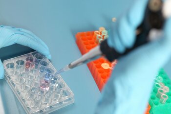 Ministrul Muncii: Programul naţional de fertilizare in vitro va putea fi, în sfârşit, finanţat din fonduri europene