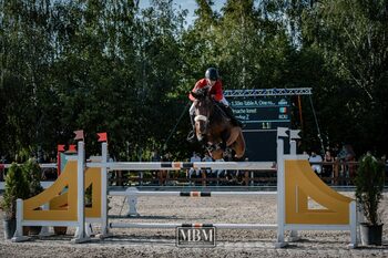 (P) Consiliul Județean Ilfov dă startul Campionatului Mondial de Anduranță Ecvestră pentru Tineret și Juniori