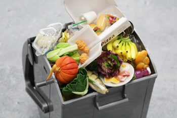 SALUBRIZARE 5: Ce este colectarea selectivă în HoReCa. Cum se realizează corect (P)