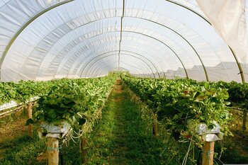 O comună din Arad trece pe încălzire pe bază de biogaz și biomasă / E prima comună din România care renunța la (…)