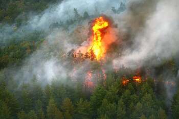 Macedonia de Nord declară stare de urgenţă din cauza incendiilor de pădure