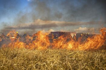 Epidemia invizibilă: Efectele nebănuite ale fumului de la incendii de vegetație