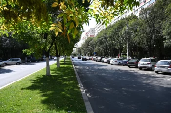 Mahler: Îmi doresc ca Bucureştiul să devină un loc în care sănătatea respiratorie să fie o prioritate în politicile (…)