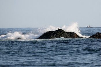 Europa construiește un geamăn virtual al oceanului – o inițiativă revoluționară pentru protejarea mediului marin