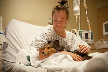 Lecție de empatie: Spitalul care permite animalelor de companie să-și viziteze stăpânii bolnavi / A construit un (…)