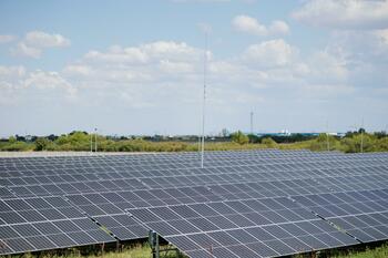 ​Sistemul Coca-Cola a investit 5 milioane de lei într-un parc fotovoltaic în Timişoara, acolo unde deţine şi o fabrică