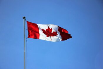 Canada impune restricţii de circulaţie pe ocean pentru a proteja o balenă pe cale de dispariţie