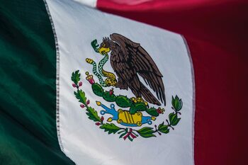 Sute de migranţi protestează în sudul Mexicului pentru legalizarea statutului