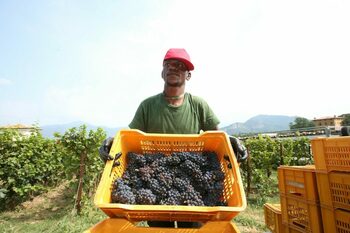 Italia caută să atragă 500.000 de noi MUNCITORI din afara Uniunii Europene între 2026 și 2028