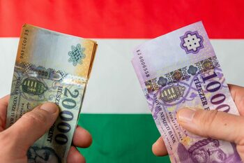 Directorul general al celei mai mari bănci din Ungaria cere adoptarea EURO și PREDICTIBILITATE în politicile economice