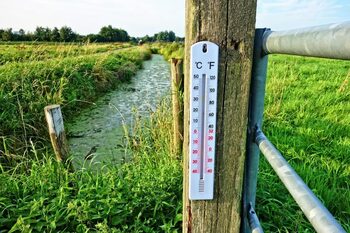 Vreme rece pentru ultimele zile din iulie. Meteorologii anunţă o lună august cum nu a mai fost de ani de zile, toţi (…)