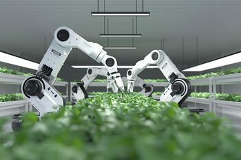 În Republica Moldova va fi creat primul parc industrial dedicat inovațiilor digitale în agricultură