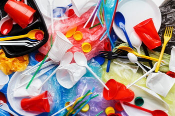 Salubrizare 5: Deșeurile din PLASTIC şi impactul lor asupra mediului (P)