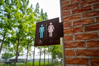 Adevărul despre toaletele publice. Cea mai mare amenințare nu este colacul