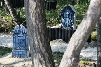 Totul despre accesul la West Side Hallo Fest: cu ce ajungi, pe unde se intră, ce străzi sunt închise
