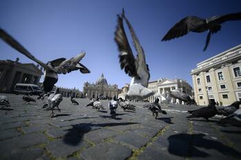 O femeie din Roma a primit interdicţia de a mai hrăni porumbei, pe fondul 