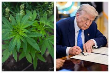 Trump pregăteşte o măsură radicală privind consumul de Marijuana în SUA: 