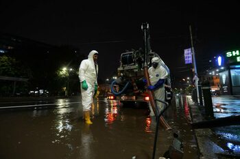 Ciclonul Barbara a cauzat PAGUBE semnificative în București și în județul Ilfov: Copaci căzuți și mai multe (…)