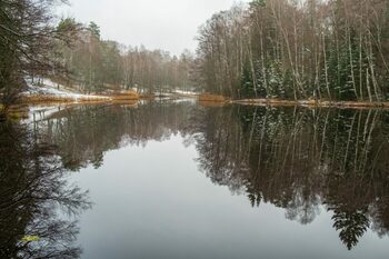 Vreme atipică până la Crăciun, anunță meteorologii
