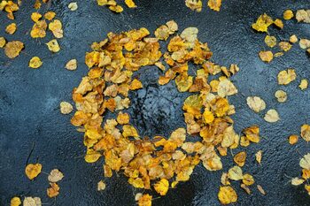 Sudul României nu scapă de ploi, anunță meteorologii. Prognoza pentru 10 noiembrie – 8 decembrie