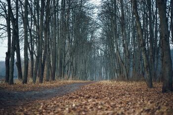 Prognoza ANM: Cum va fi vremea în noiembrie și ce temperaturi vom avea pe 1 Decembrie?