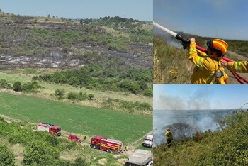 Incendiu de vegetație în Lugașu de Sus. Au fost afectate peste 22 de hectare și 500 de pomi
