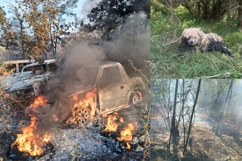 150 de intervenții ale pompierilor în minivacanță: 50 de incendii, animale salvate și mașini cuprinse de flăcări