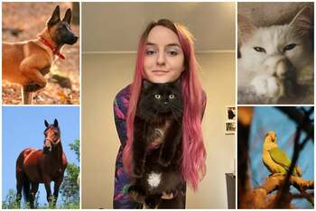 Când iubirea pentru animale se întâlnește cu pasiunea pentru fotografie. Cum reușește fotografa Adriana Mocan să (…)